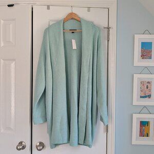 Ann Taylor Sea Foam Green Long Cardigan